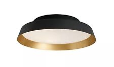 Carpyen Boop Wall or Ceiling Light picture