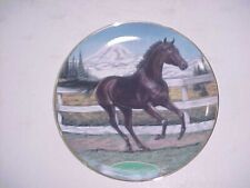 Danbury Mint Seattle Slew Horse Racing Collector Plate Thoroughbreds 1996 H240 picture