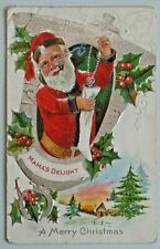 A Merry Christmas Mama's Delight Santa Brown Fur Embossed DB Postcard A058 picture