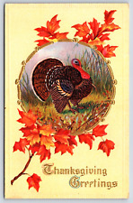 Postcard 1913 Thanksgiving Greetings Gold Framed Turkey & Lettering A18 picture