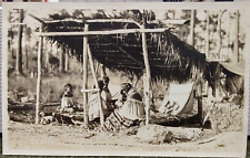 1920s? RP POSTCARD EVERGLADES FL FLORIDA SEMINOLE INDIAN CAMP picture