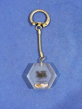 Mackinac Island Michigan Vintage Souvenir Keychain picture