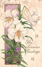 The Season's Greetings White Flower Holiday Greetings Vintage Postcard 1924 picture