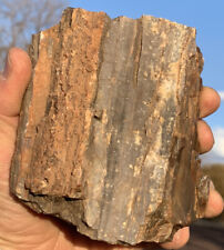 ☘️RR⚒: Top Quality Arizona Petrified Wood W/druzy sparkly Quartz, 1.5 Lb 🌈 picture