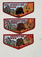 Montana Council Apoxky Aio 300 Lodge Flaps S1, S2, S3 (s4). picture