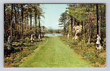 Norfolk VA-Virginia, Botanical Gardens, Perennial Garden, Vintage Postcard picture