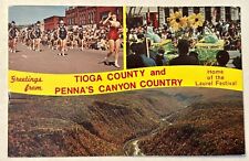 Greetings From Tioga County Canyon Country Pennsylvania. Vintage Postcard picture