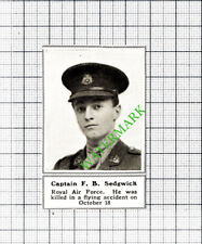 Captain F B Sedgwick Royal Air Force RAF Great War WW1 - 1918 SMALL Cutting picture