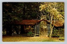 Cook Forest State Park PA-Pennsylvania, Cabins, Antique, Vintage Postcard picture