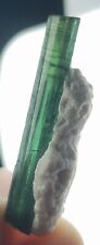 21 CT Natural Terminated Green Color TOURMALINE Transparent Crystal From Afg picture