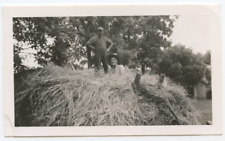 Vintage C.1930s Old Found Photograph Man and Woman Farming Rustic Hay Harvest picture
