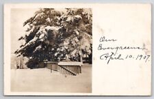 RPPC Evergreens In Snow 1907 Postcard W29 picture