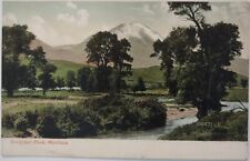 Vintage Postcard Emigrant Park Montana Undivided Back AA22 picture
