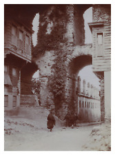 Turkey, Constantinople, Aqueduct of Valens, Vintage Print, circa 1900 Wine Print picture