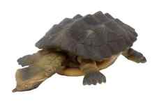 Trading Figure Matamata B Playable Creature Series Turtles Of The World 2 picture