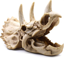 Resin Dinosaur Skeleton Triceratops Imitation Skull Model Home Office Display De picture