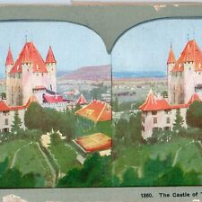 c1900s Switzerland Swiss Castle of Thun Birds Eye Litho Photo Stereo Card V10 picture