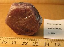 249cts 49g RUBY CRYSTAL FROM KARNATAKA INDIA 38mm WIDE 14mm THICK RED picture