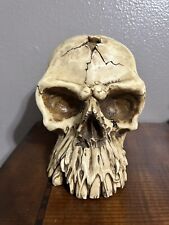 Vintage 1998 Summit Collection Human SKULL Coin Bank RESIN 7