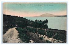 View of Canandaigua Lake NY Showing Vineyard Bare Hill Postcard C14 picture