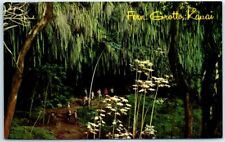 Postcard - Fern Grotto - Kauai, Hawaii picture