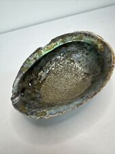 Beautiful Natural Raw Abalone Shell Mother of Pearl Shimmering Large 6 1/4” picture