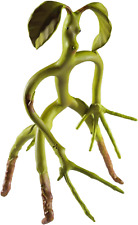 The Noble Collection Bendable Bowtruckle Pickett picture