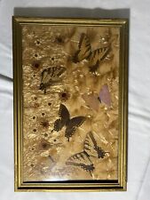 Vintage Brazilian Butterfly Wing Inlaid Wood Wall Hanging picture