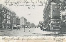 Brooklyn NYC Flatbush Avenue Looking North UB VG 1905  picture