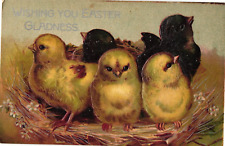 Baby Chicks in Nest Wish You Easter Gladness Embossed Postcard picture