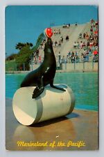 Marineland of Pacific CA-California, Seal Circus Time, Antique Vintage Postcard picture