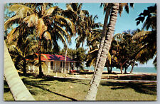 Postcard South Seas Plantation, Captiva Island, Florida B8 picture