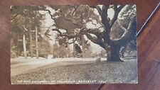 Oaks University Berkeley Thousand Wonders California Vintage Post Card 1910 picture