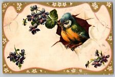 Vintage Postcard A Token Of Love Bird Brings Flower 1908 Vintage Postcard picture