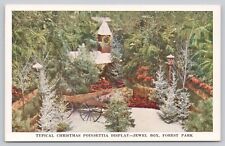 Postcard Christmas Floral Display Poinsettia Jewel Box Forest Park St louis MO picture