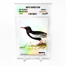 WHITE-WINGED TERN Art Card 2023 GleeBeeCo Holo Creatures #WHVN-L /49 picture