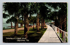 c1914 DB Postcard Daytona FL Florida Palmettos on South Beach Street picture