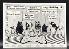 Birthday Card- Happy Birthday In 8 Languages - Dogs - Funny Vintage Postcard picture