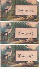 Antique Victorian Lithograph Calling / Business Card Lot - Crane Bird picture