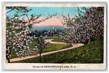 c1920 Scene Flower Field Garden Greenwood Lake New York Vintage Antique Postcard picture