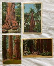 Vintage Linen Postcards of the  - set of 4 picture