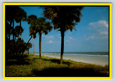 Vintage Postcard Hilton Head Island South Carolina 1990 picture