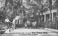 1940's Nassau Bahamas Royal Victoria Hotel Bicycle Palm Trees Vintage Postcard picture
