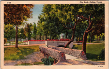 Postcard D-36 City Park Dallas Texas [cn] picture