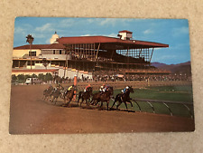 Vintage Turf Paradise Phoenix Arizona Horse Racing picture