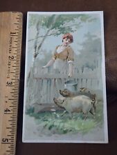 1889 Arbuckles Ariosa Coffee Antique Victorian Trade Card Advertising #6 Pigs picture