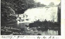 Walton 3rd Brook Reservoir Dam 1906  NY  picture