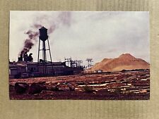 Postcard McNary AZ Arizona Saw Mill Plant Pine Tree Logs Logging Vintage PC picture