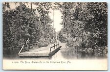 POSTCARD Ferry Grahamville  on the Ocklawaha River Florida c1905 Rotograph picture