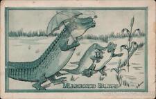 Wedding 1911 Married Bliss Alligator Postcard 1c stamp Vintage Post Card picture